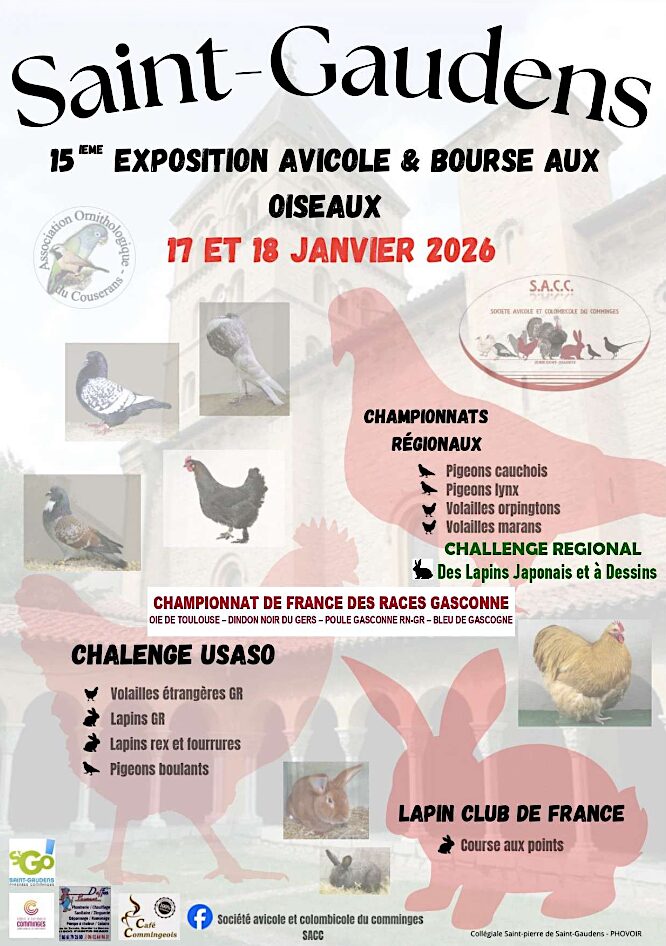 Affiche de l'exposition de Saint-Gaudens, saison 2025