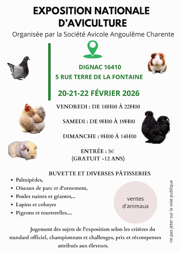 affiche exposition de Dignac