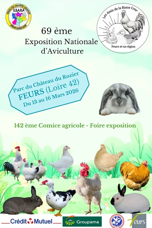 affiche exposition de Feurs