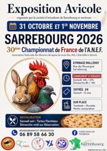 Affiche exposition Sarrebourg