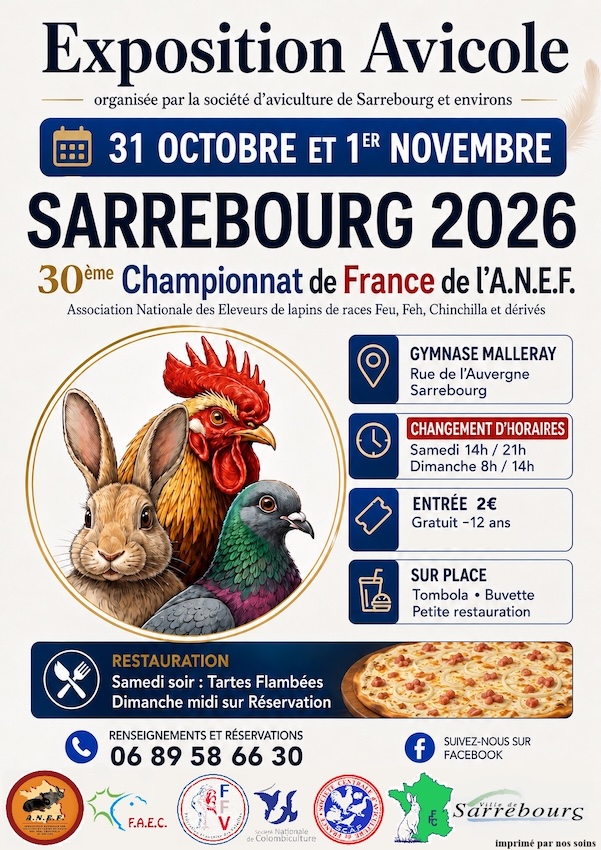 Affiche exposition Sarrebourg