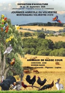 Affiche de Montesquieu-Volvestre — Exposition avicole des journées agricoles du Volvestre